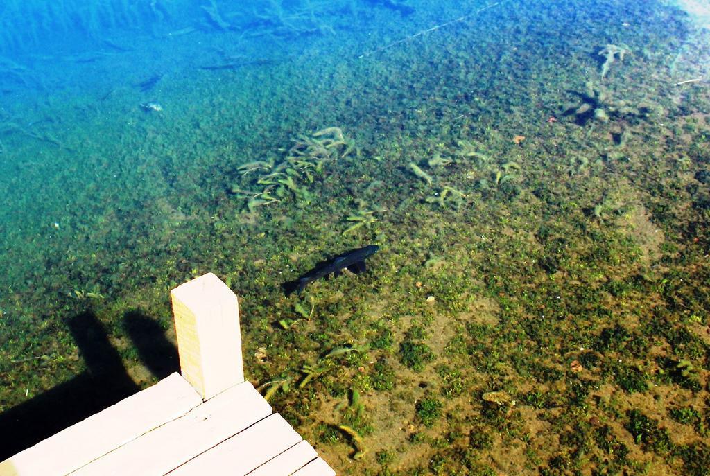 Lodge De Montana Lago Monreal เอลบลังโก ภายนอก รูปภาพ